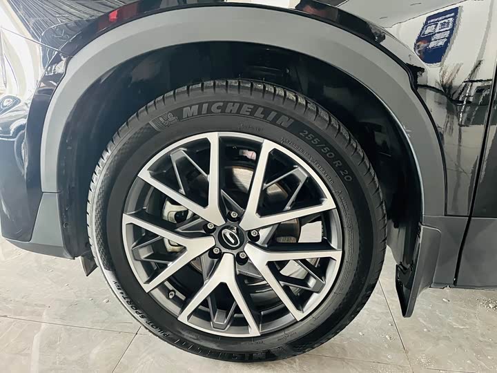 Trumpchi GS8 2024 2.0 TGDI 2 WD 7 — фото 6