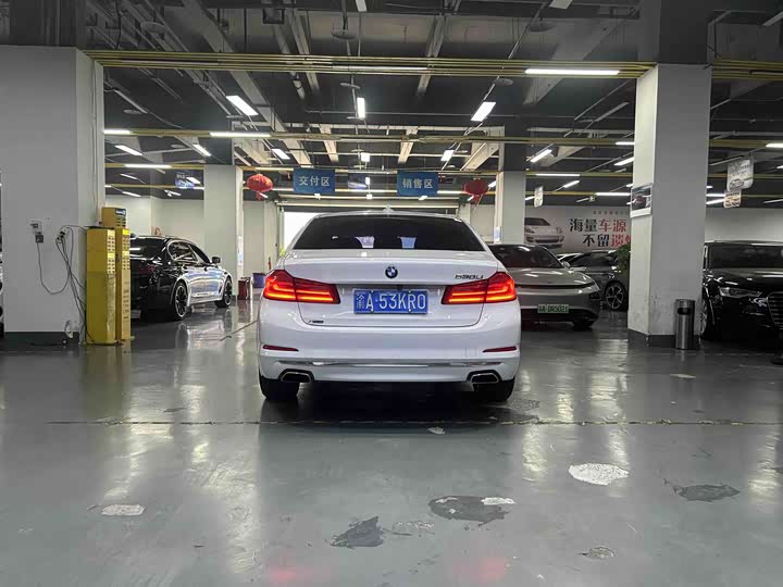 BMW 5-Series 2019 530 Li x Drive — фото 12