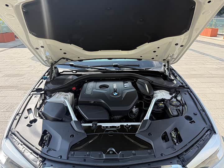 BMW 5-Series 2019 530 Li Leading — фото 11