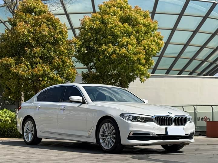BMW 5-Series 2019 530 Li Leading — фото 3