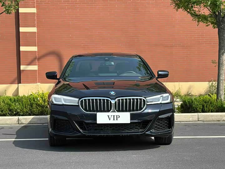 BMW 5-Series 2023 530 Li Leading M — фото 2