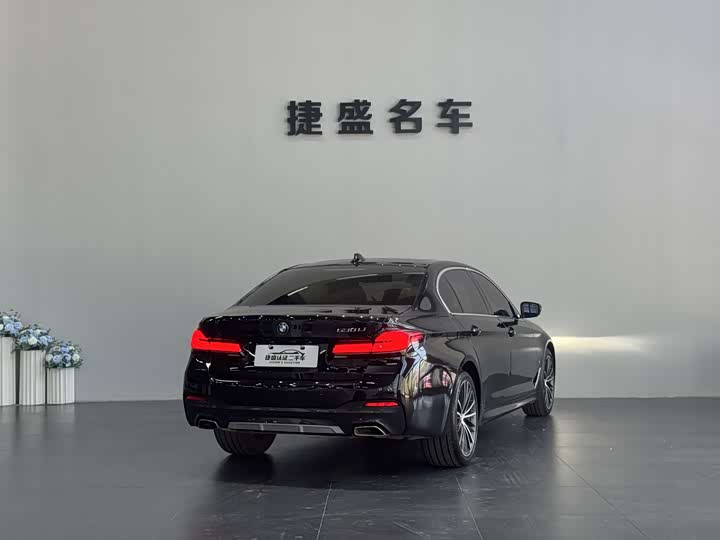 BMW 5-Series 2021 530 Li Leading M — фото 6