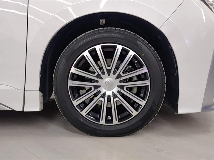 Trumpchi M8 2023 390 T — фото 6