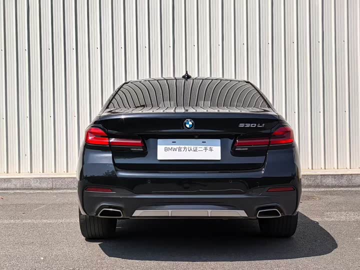 BMW 5-Series 2022 530 Li Leading M — фото 8