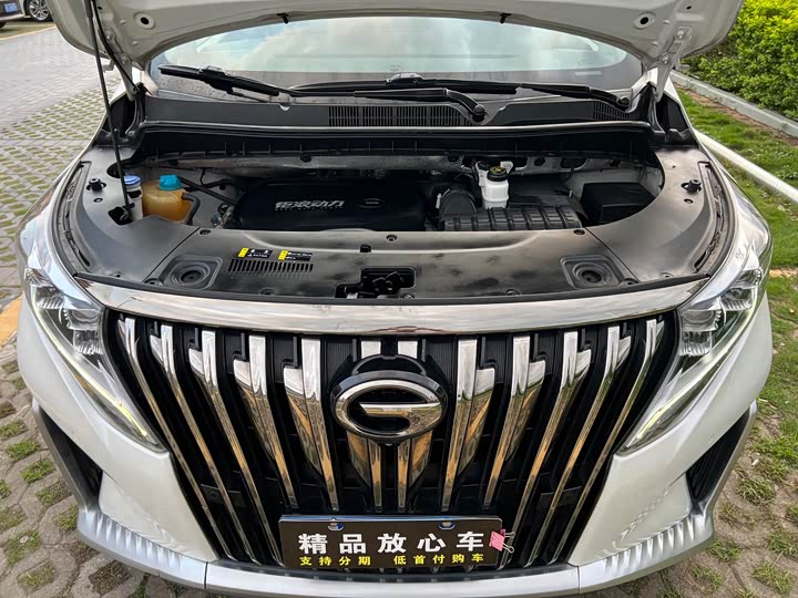 Trumpchi M8 2023 390 T — фото 10