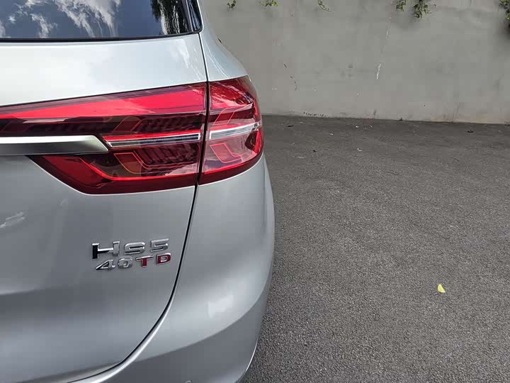 Hongqi HS5 2019 2.0 T 4 WD — фото 35