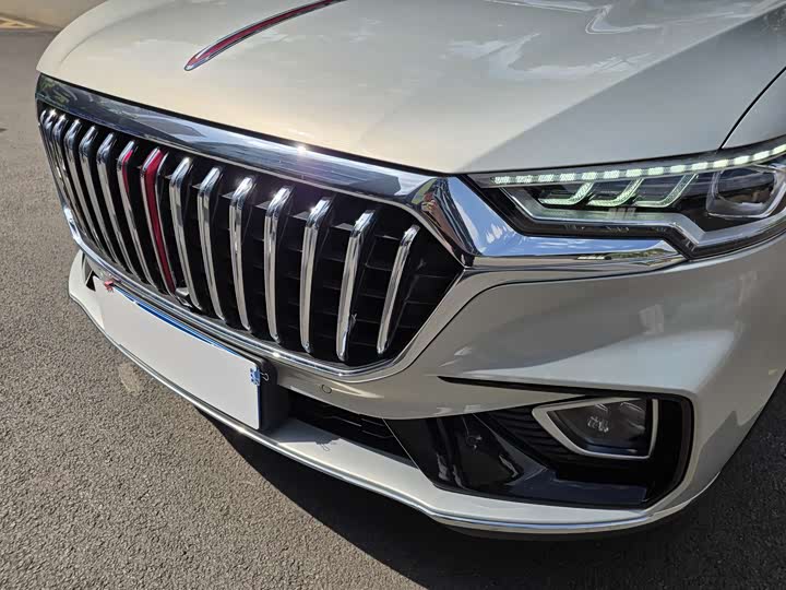 Hongqi HS5 2019 2.0 T 4 WD — фото 13