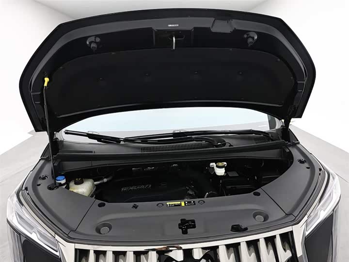 Trumpchi M8 2024 400 T — фото 18