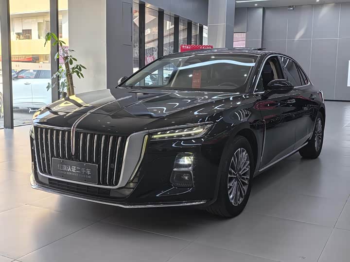 Hongqi H5 2023 2.0 T AT