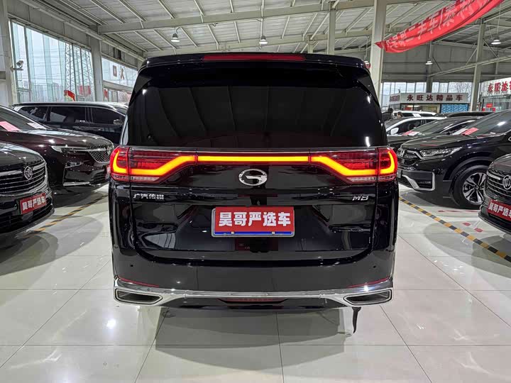 Trumpchi M8 2021 390 T — фото 10