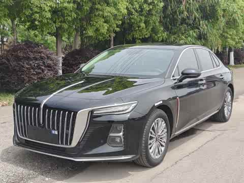 Hongqi H5 2023 1.5 T DCT — фото 20