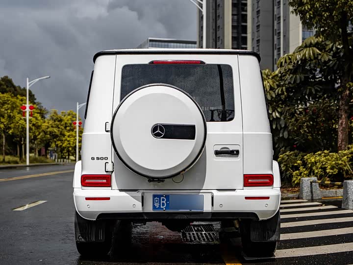 Mercedes-Benz G-Class 2019 G 500 — фото 6