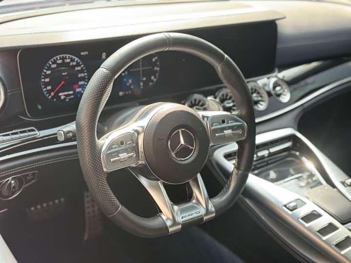 Mercedes-Benz AMG 2019 AMG GT 50 — фото 14