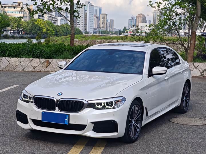 BMW 5-Series 2019 530 Li Leading M — фото 15