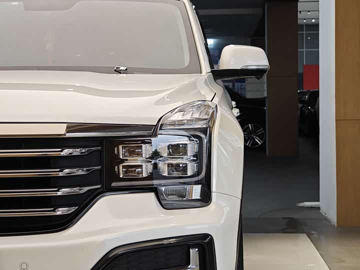 Trumpchi GS8 2020 390 T 2 WD ( ) — фото 2