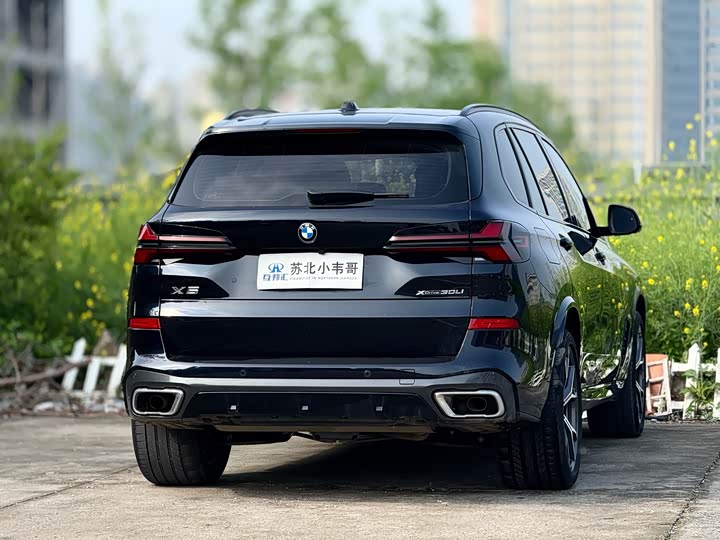 BMW X5 2023 x Drive 30 Li M — фото 4