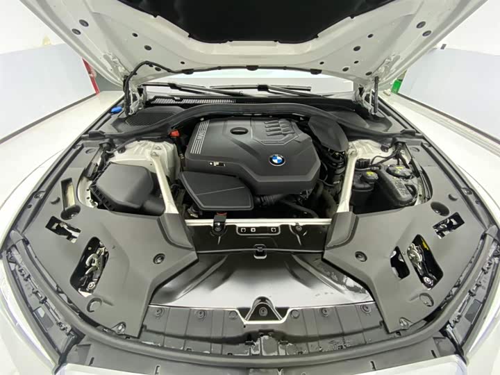 BMW 5-Series 2023 530 Li Leading M — фото 12