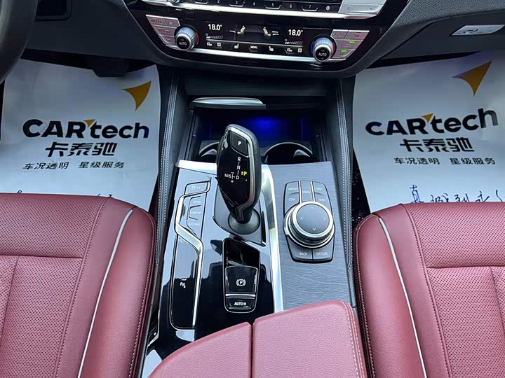 BMW 5-Series 2022 530 Li Leading M — фото 15