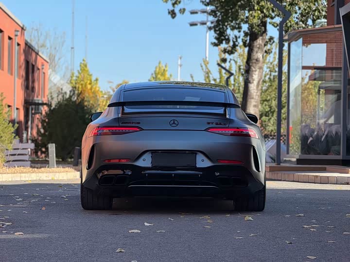 Mercedes-Benz AMG 2019 AMG GT 63 S 4 MATIC+ — фото 20