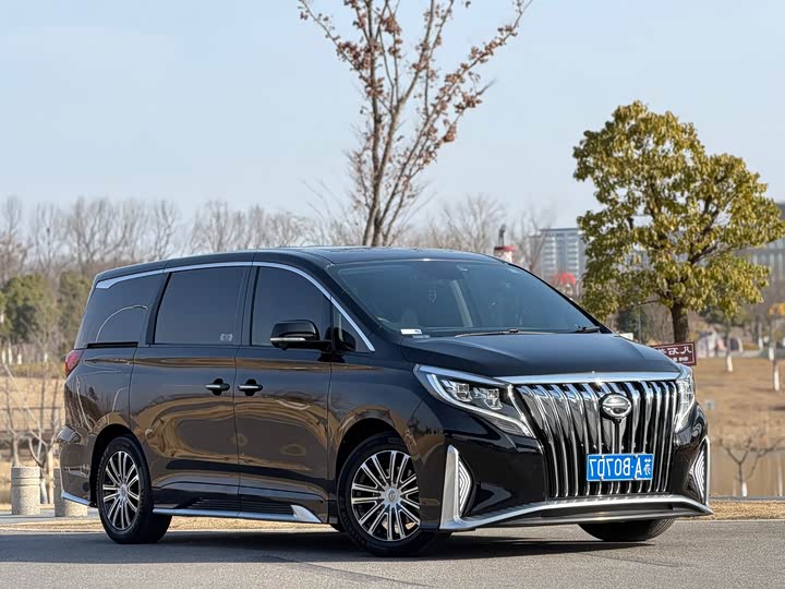 Trumpchi M8 2023 390 T — фото 4