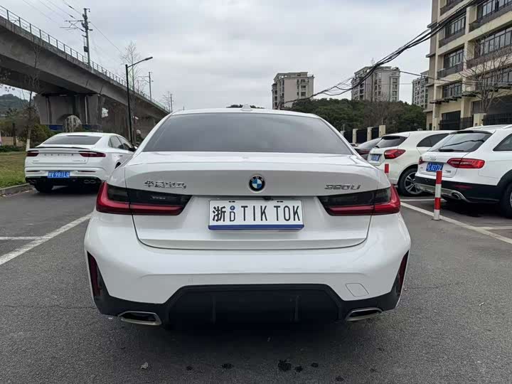 BMW 3 Series 320Li M спортпакет — фото 8