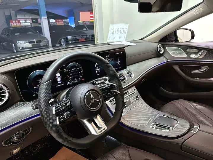 Mercedes-Benz CLS 2021 CLS 300 Luxury — фото 7