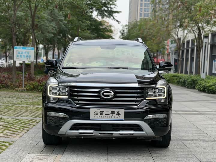 Trumpchi GS8 2017 320 T 2 WD ( ) — фото 2
