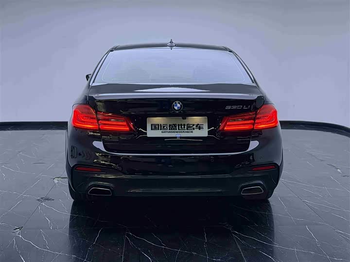 BMW 5-Series 2018 530 Li x Drive M — фото 5