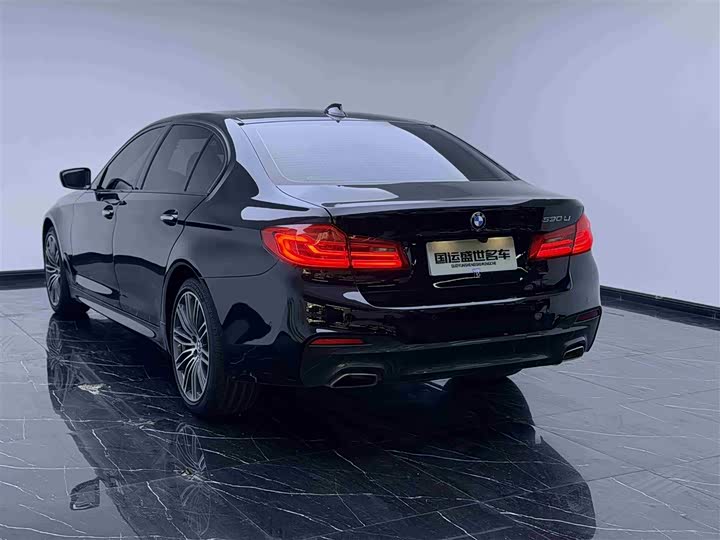 BMW 5-Series 2018 530 Li x Drive M — фото 6
