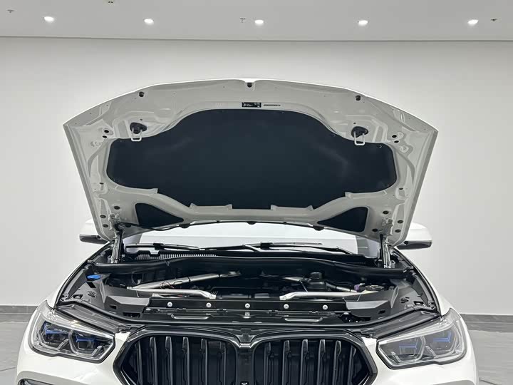 BMW X6 2022 x Drive 40i M — фото 29