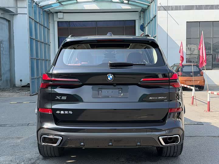 BMW X5 2025 x Drive 30 Li M — фото 5