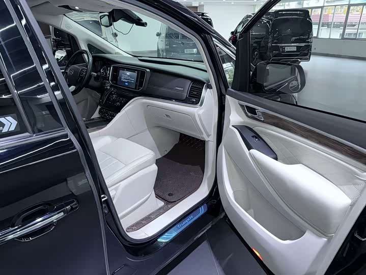 Trumpchi M8 2018 320 T — фото 11