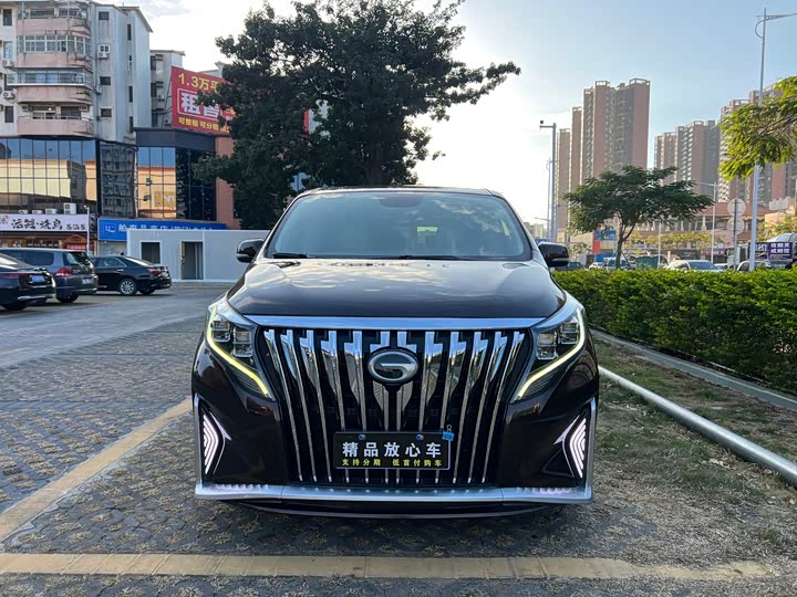 Trumpchi M8 2018 320 T — фото 2
