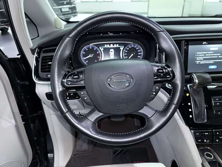 Trumpchi M8 2018 320 T — фото 17