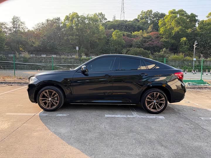 BMW X6 2019 x Drive 35i M — фото 14