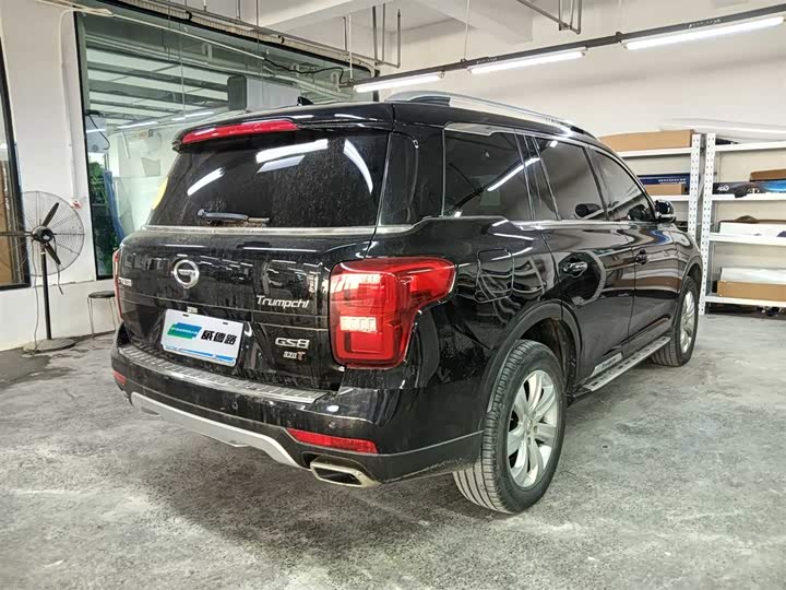 Trumpchi GS8 2017 320 T 2 WD ( ) — фото 4