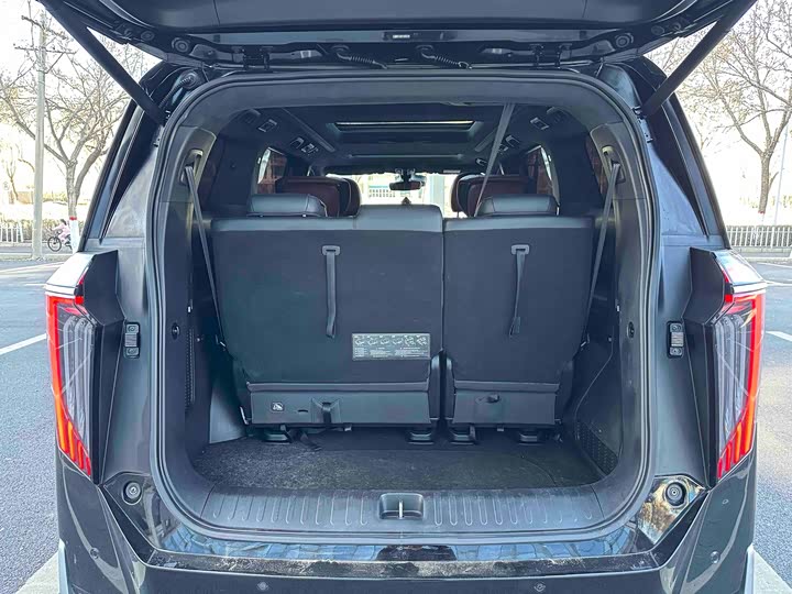 Trumpchi M8 2023 400 T — фото 13