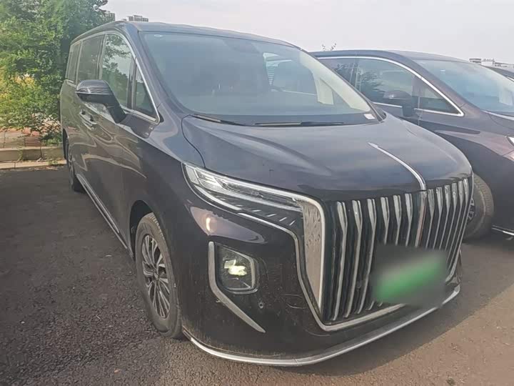 Hongqi HQ9 PHEV 2024 2.0 T 4 WD — фото 4