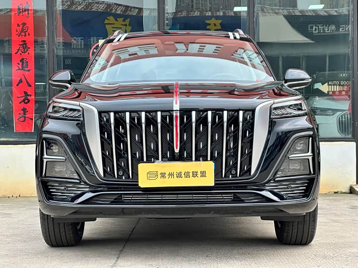 Hongqi HS5 2025 2.0 T 2 WD Pro — фото 2