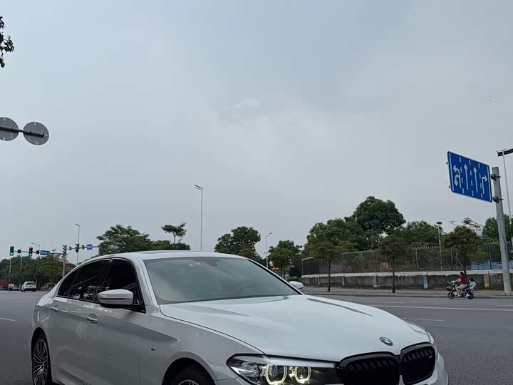 BMW 5-Series 2019 530 Li Leading M — фото 2