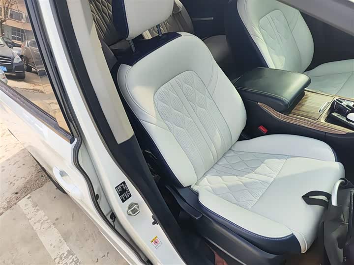 Trumpchi M8 2020 390 T — фото 24