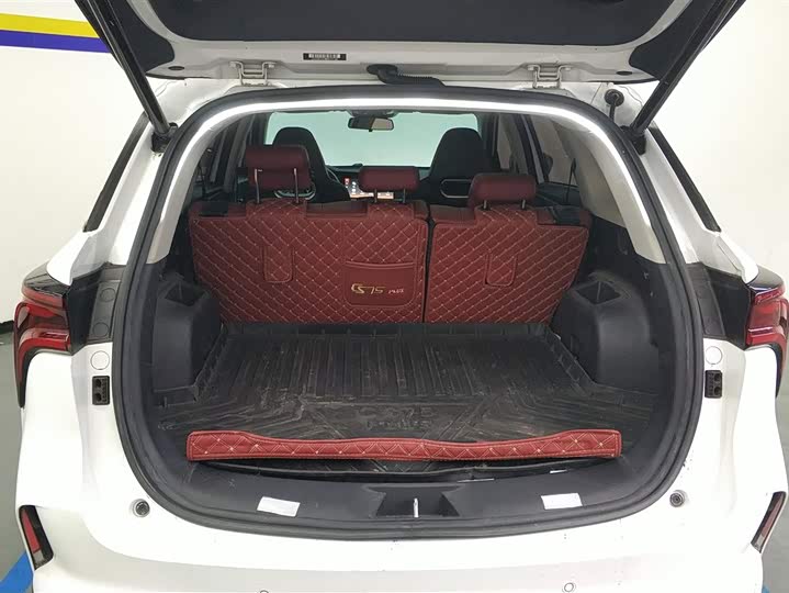 Changan CS75 PLUS 2021 2.0 T AT — фото 4