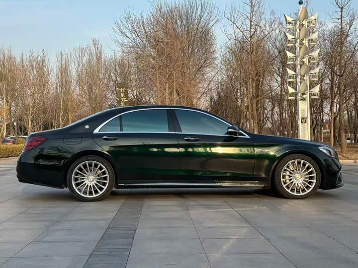 Mercedes-Benz S-Class 2014 AMG S 65 L — фото 6