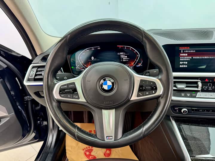 BMW 3-Series 2022 325 Li M — фото 16