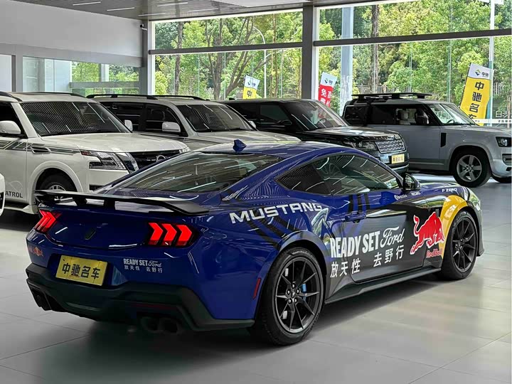 Ford Mustang 2024 5.0 L V 8 Dark Horse — фото 5