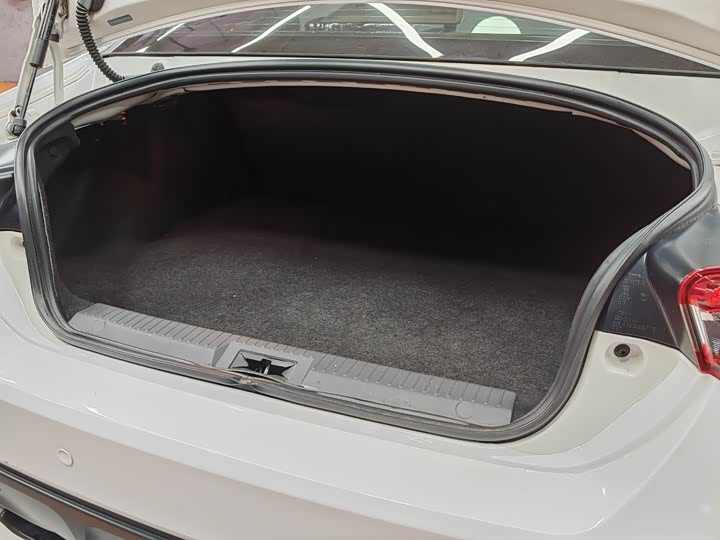 Subaru BRZ 2020 2.0 L MTtype-RS — фото 13