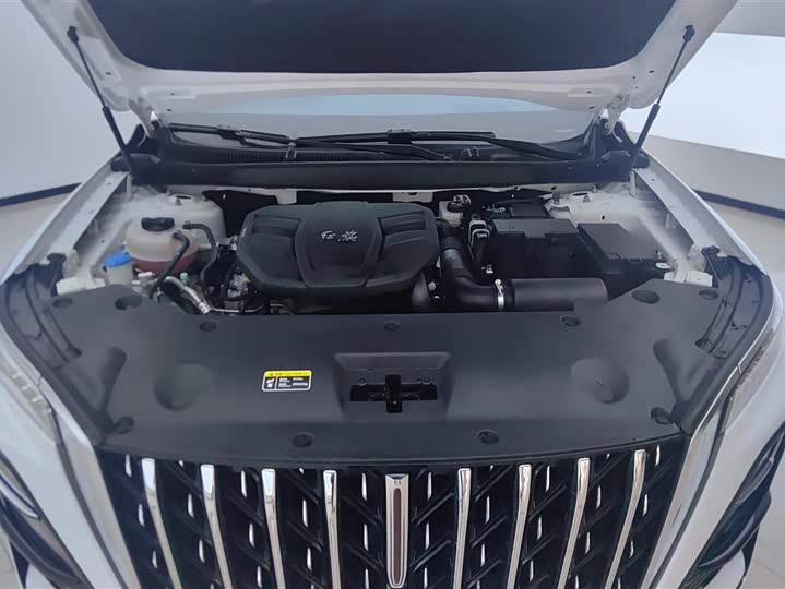 Hongqi HS5 2023 2.0 T Pro — фото 10