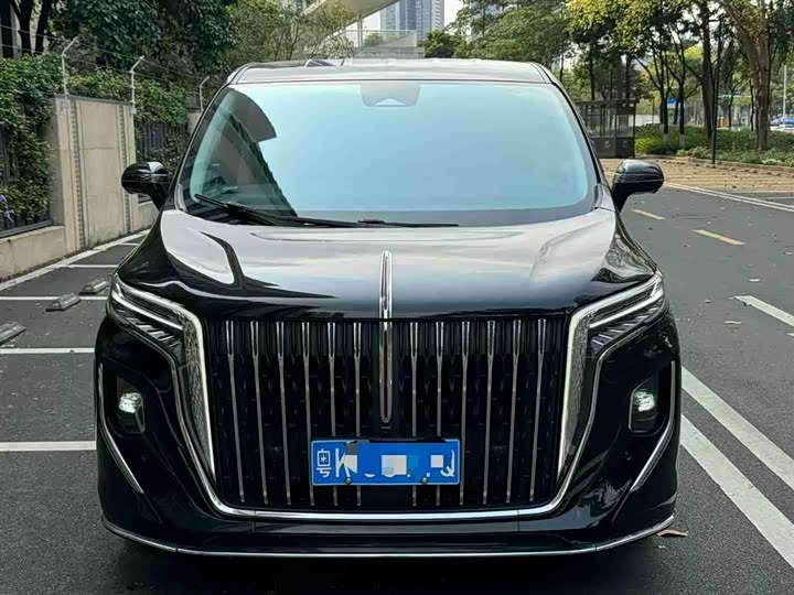 Hongqi HQ9 2023 2.0 T — фото 3