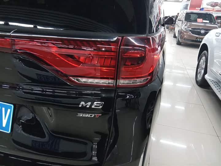 Trumpchi M8 2023 390 T — фото 24