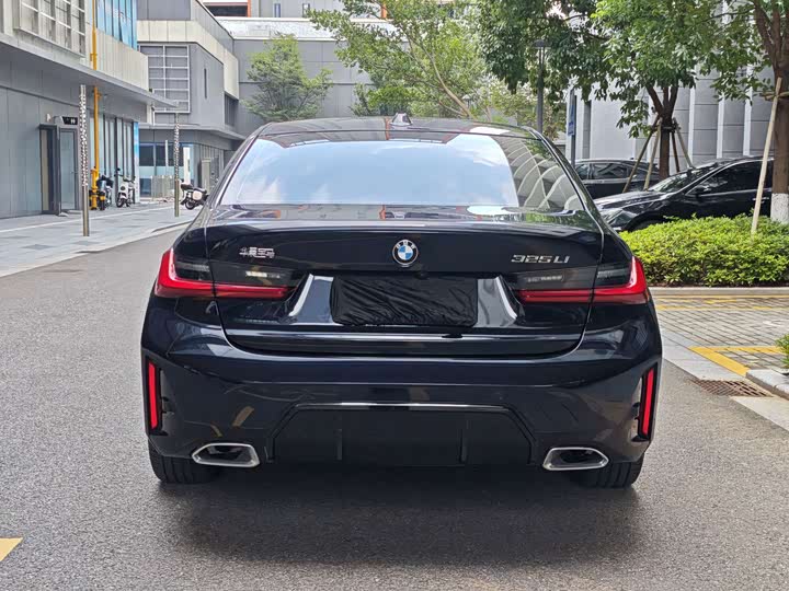 BMW 3 Series 320Li M спортпакет — фото 18